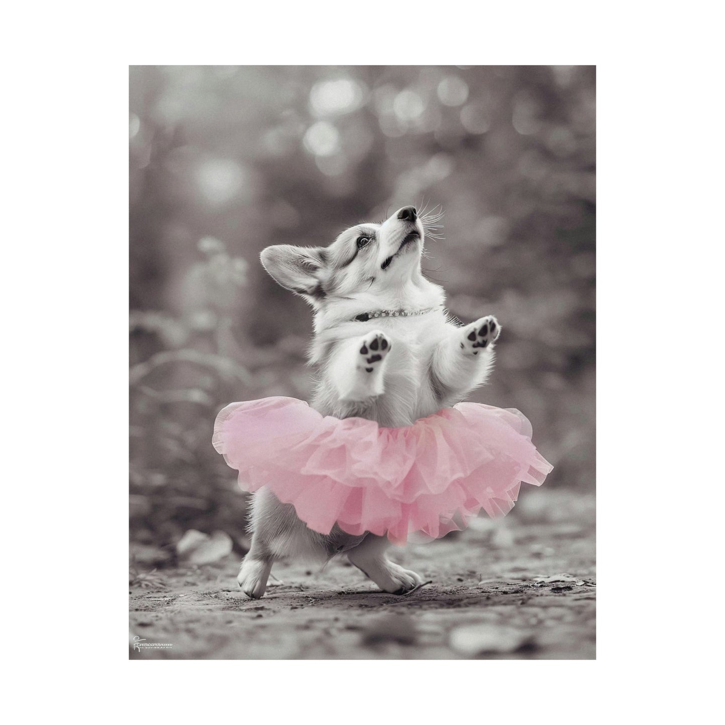 Corgi Tutu, Corgi Wall Art