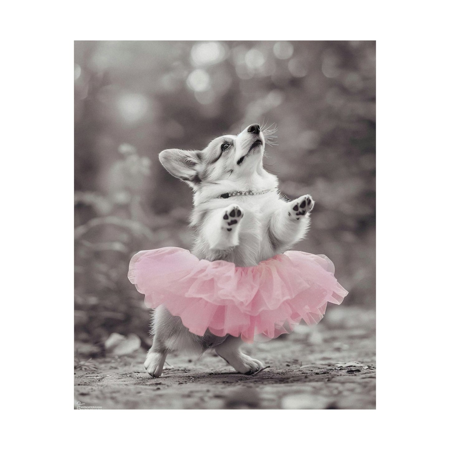 Corgi Tutu, Corgi Wall Art
