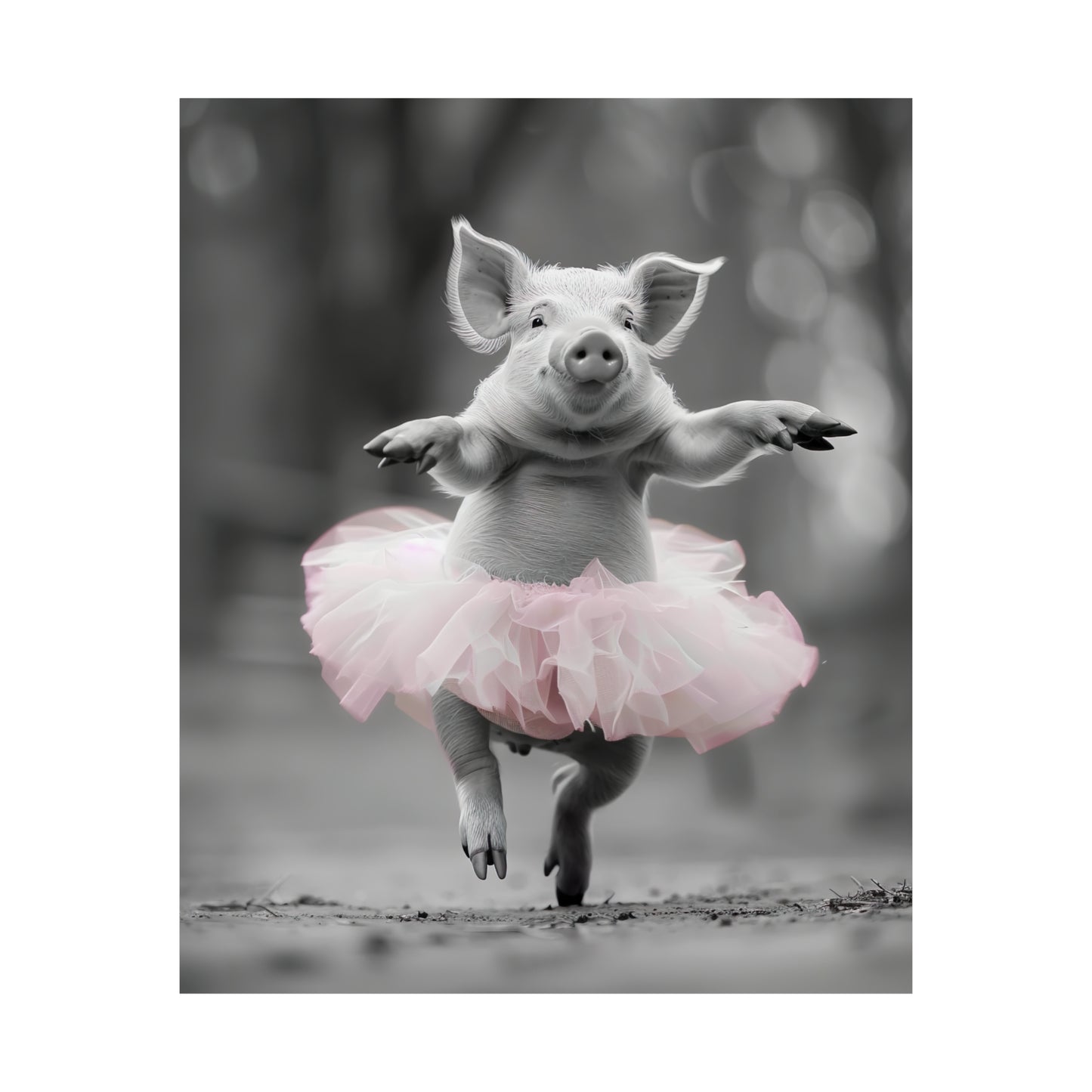 Pig Tutu, Pig Wall Art
