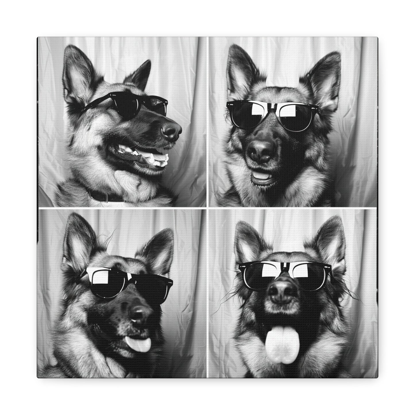 German Shephard Photo Booth Canvas