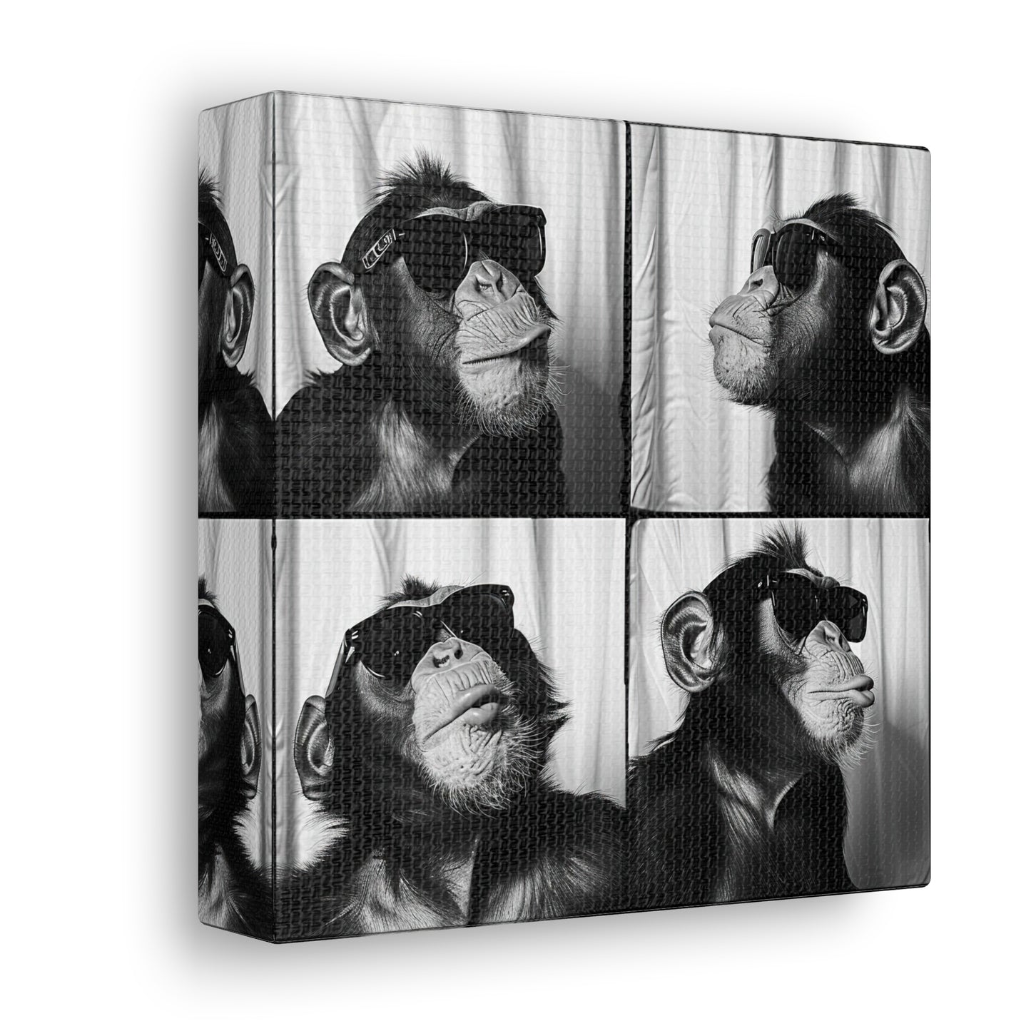 Monkey Photo Booth Canvas
