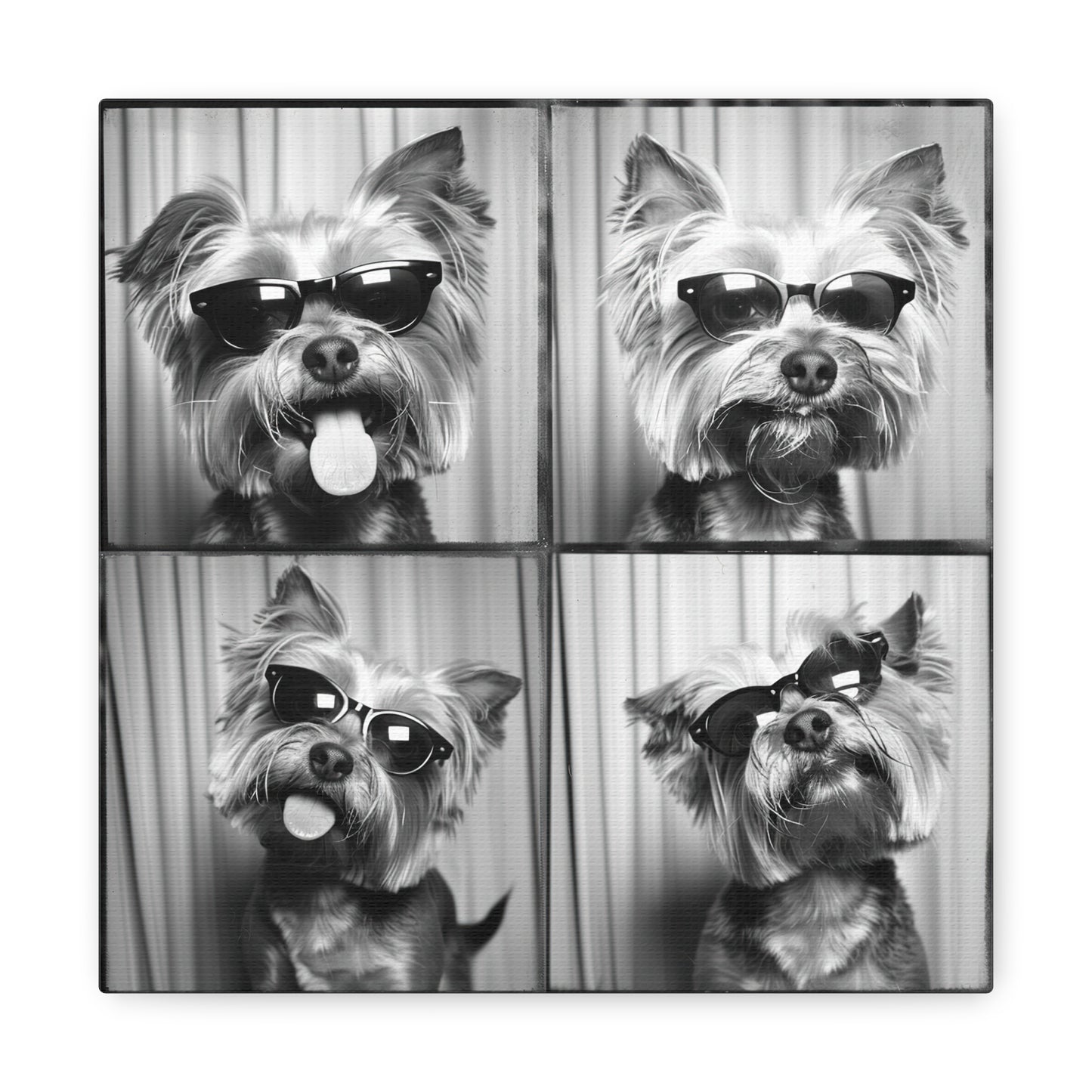 Yorkie Terrier Photo Booth Canvas