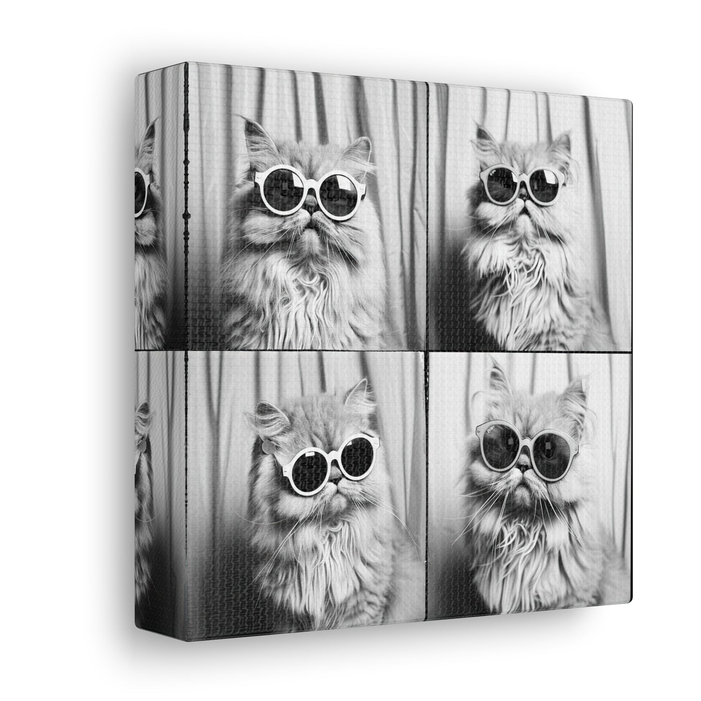 Persian Cat Photo Booth Canvas