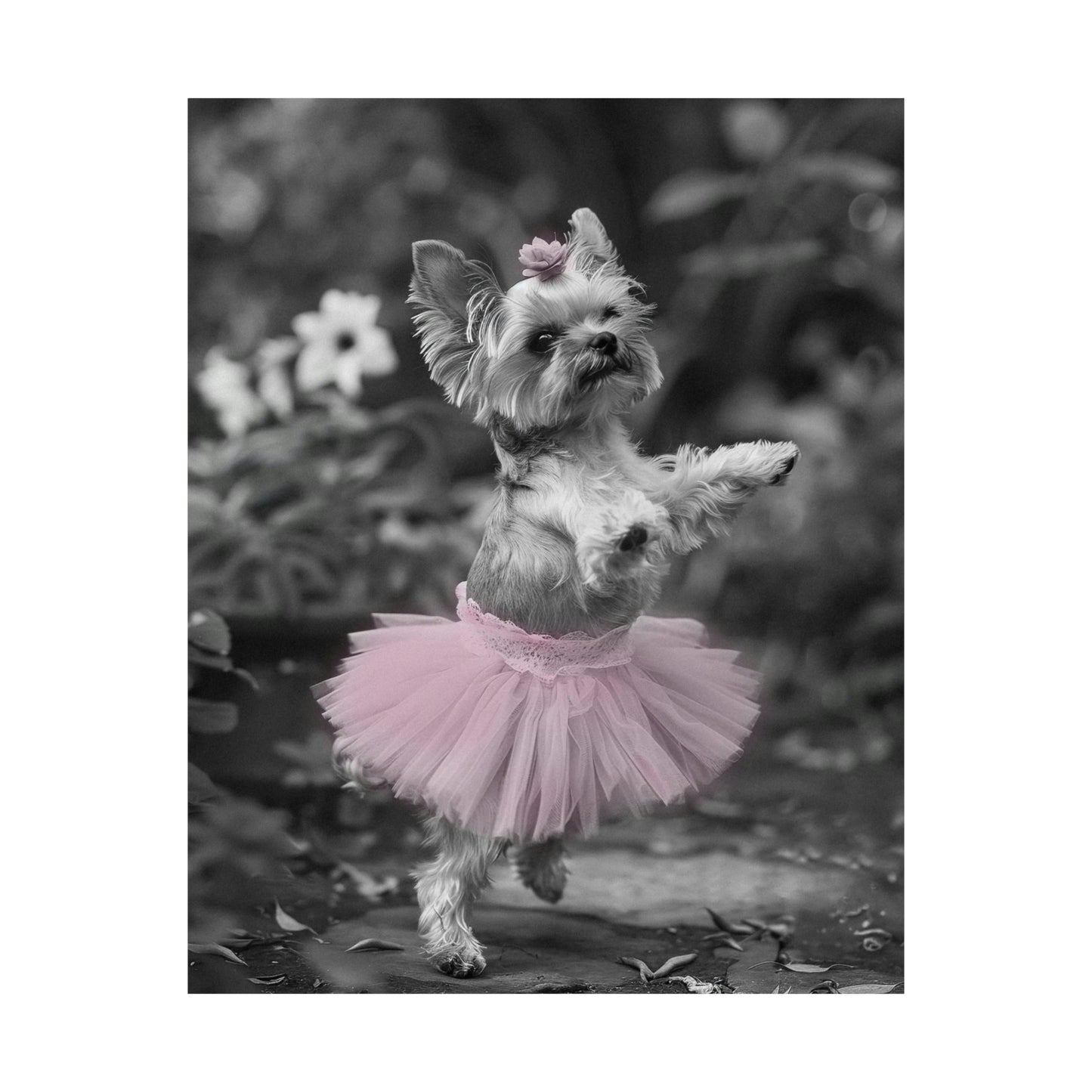 Yorkie Terrier Tutu, Yorkie Terrier Wall Art