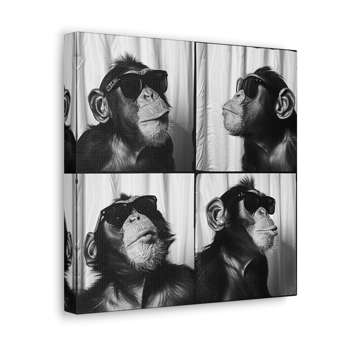 Monkey Photo Booth Canvas