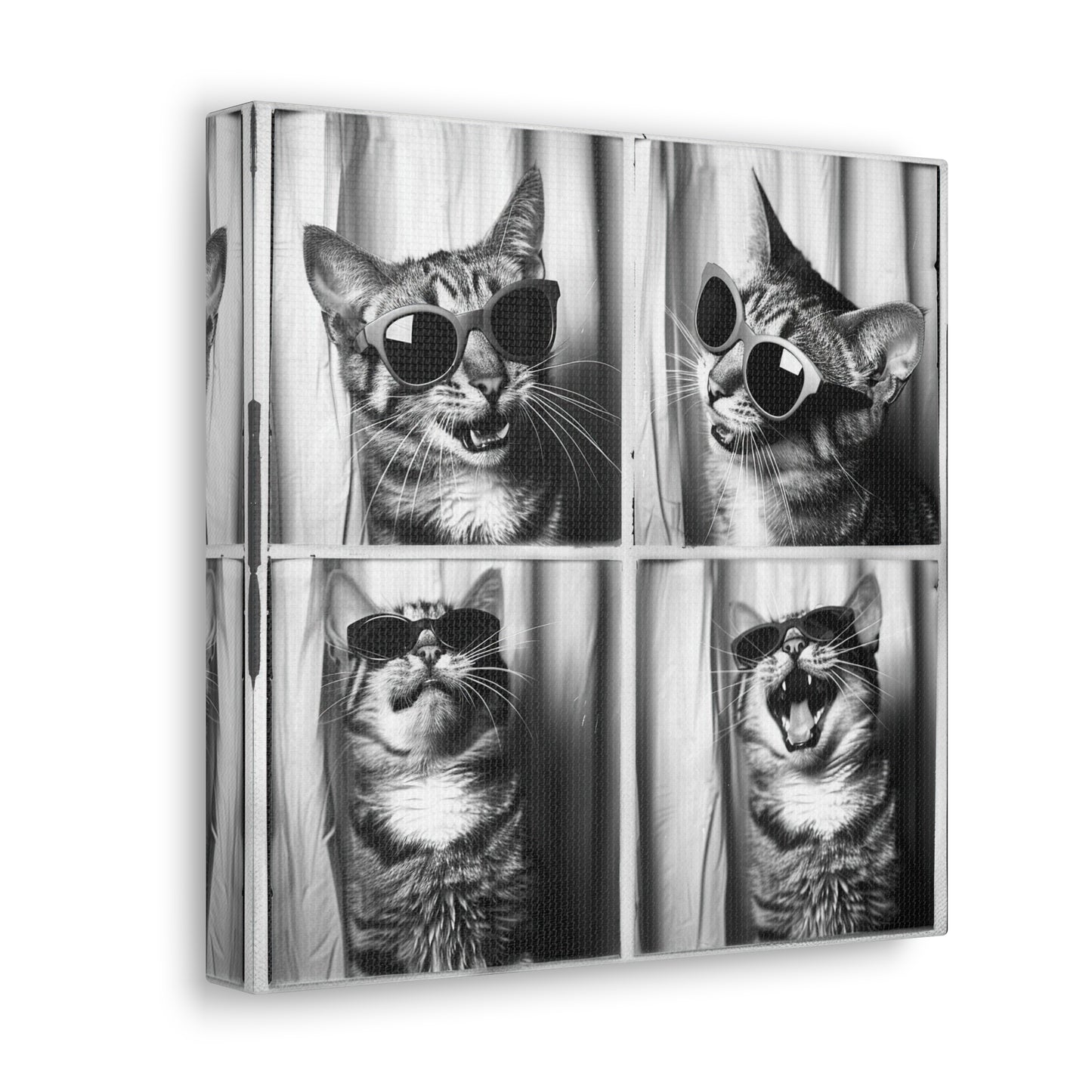 Tabby Cat Photo Booth Canvas