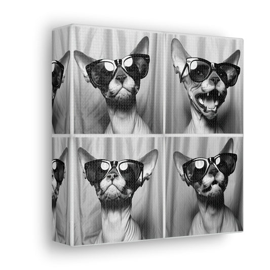 Sphynx Cat Photo Booth Canvas