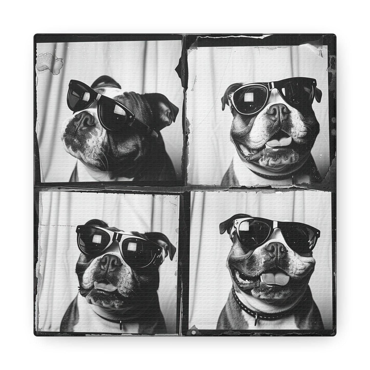 Bulldog Photo Booth Canvas