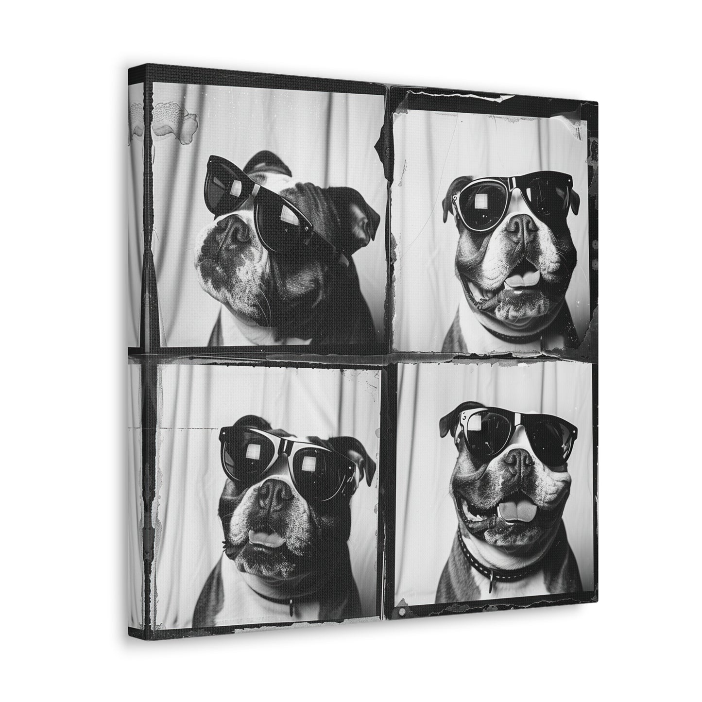 Bulldog Photo Booth Canvas