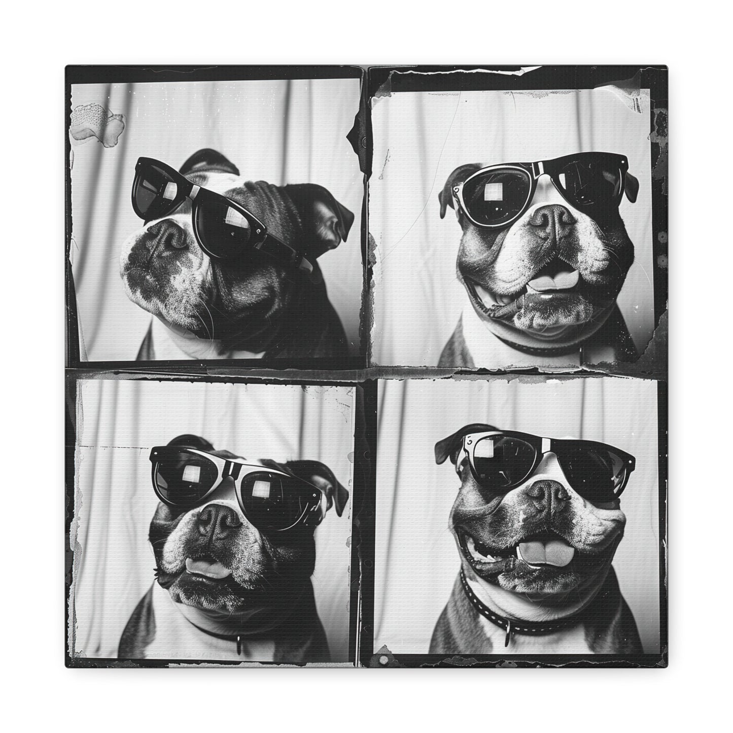 Bulldog Photo Booth Canvas