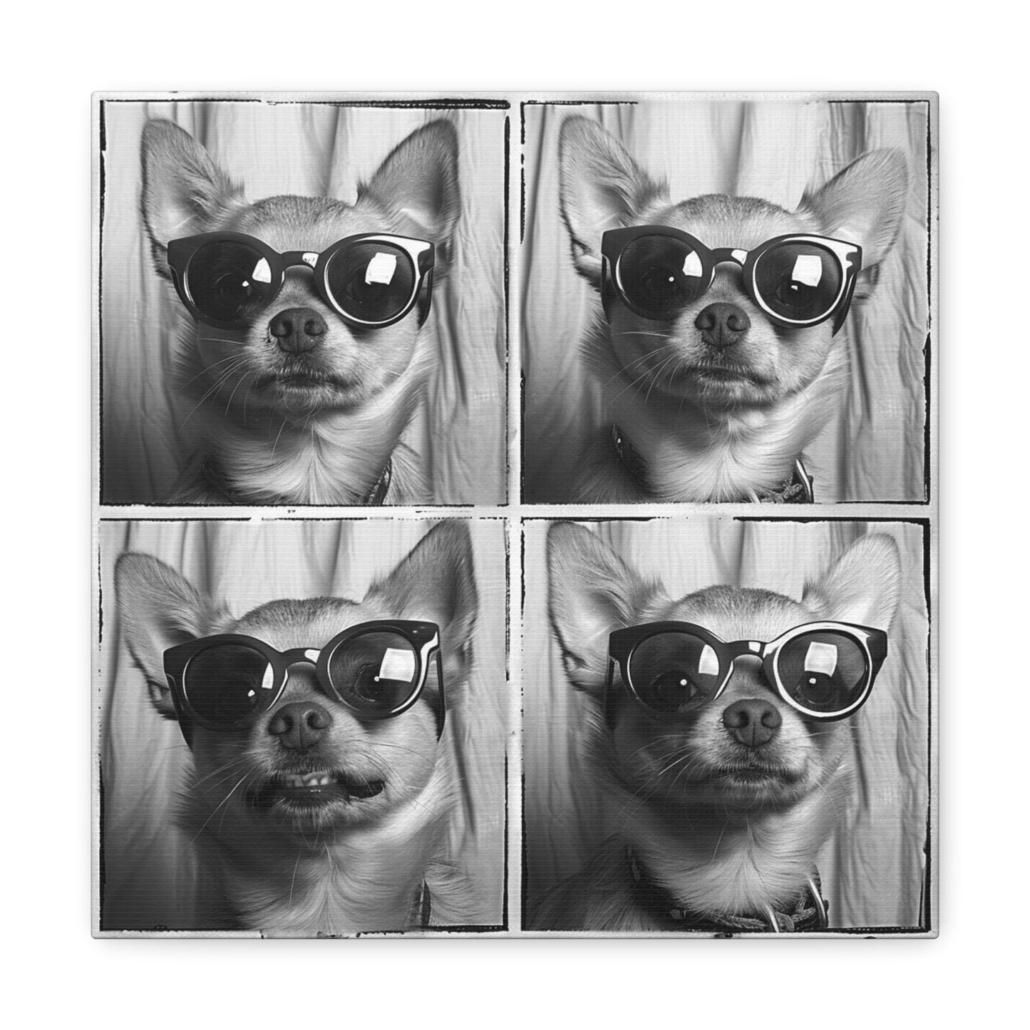 Chihuahua Photo Booth Canvas