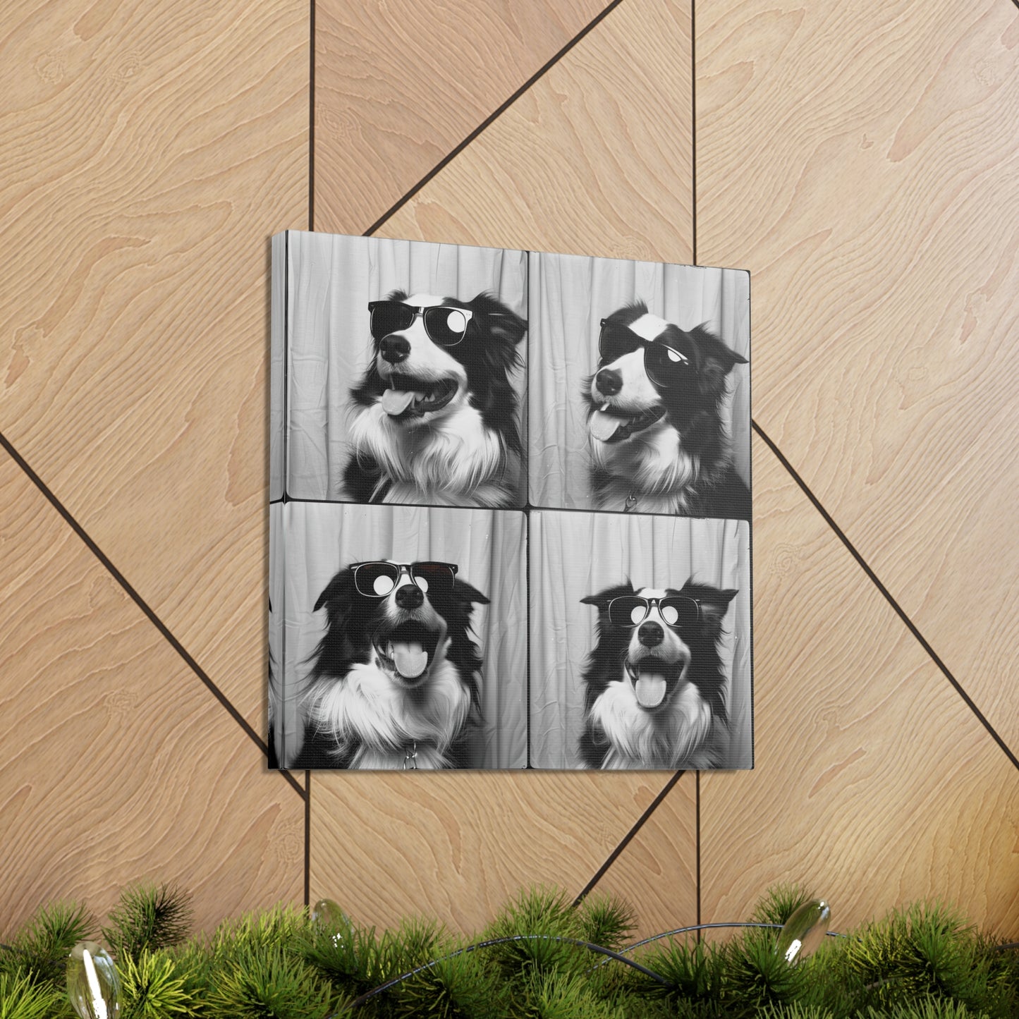 Border Collie Photo Booth Canvas