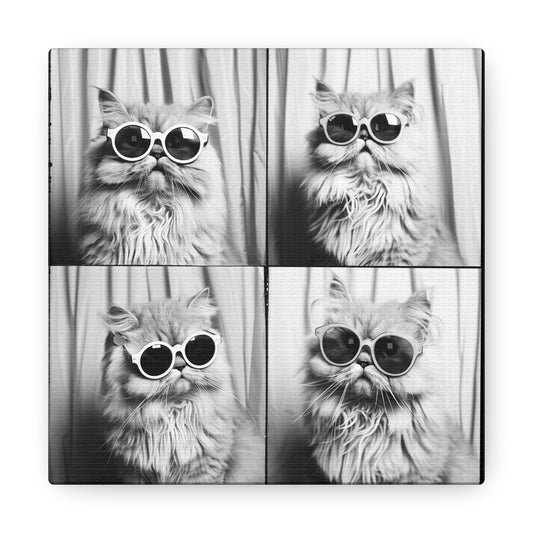 Persian Cat Photo Booth Canvas