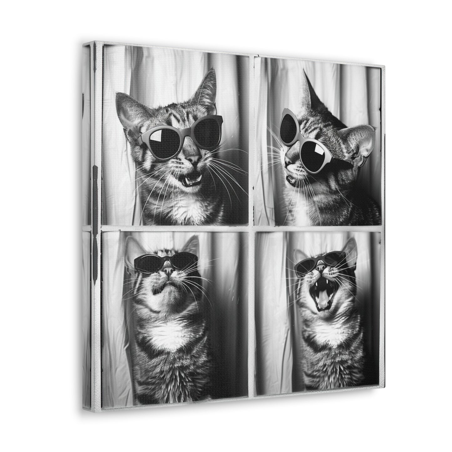 Tabby Cat Photo Booth Canvas