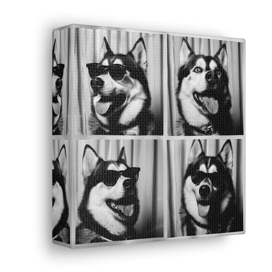 Husky Photo Booth Canvas