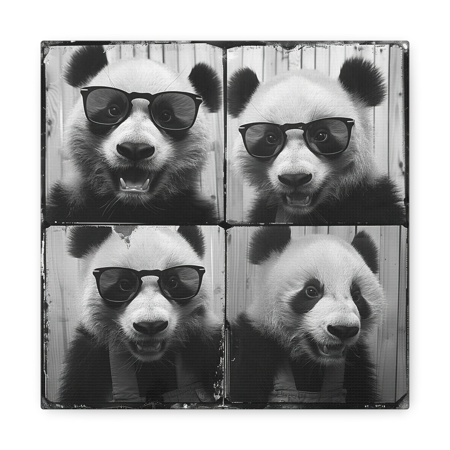 Panda Photo Booth Canvas