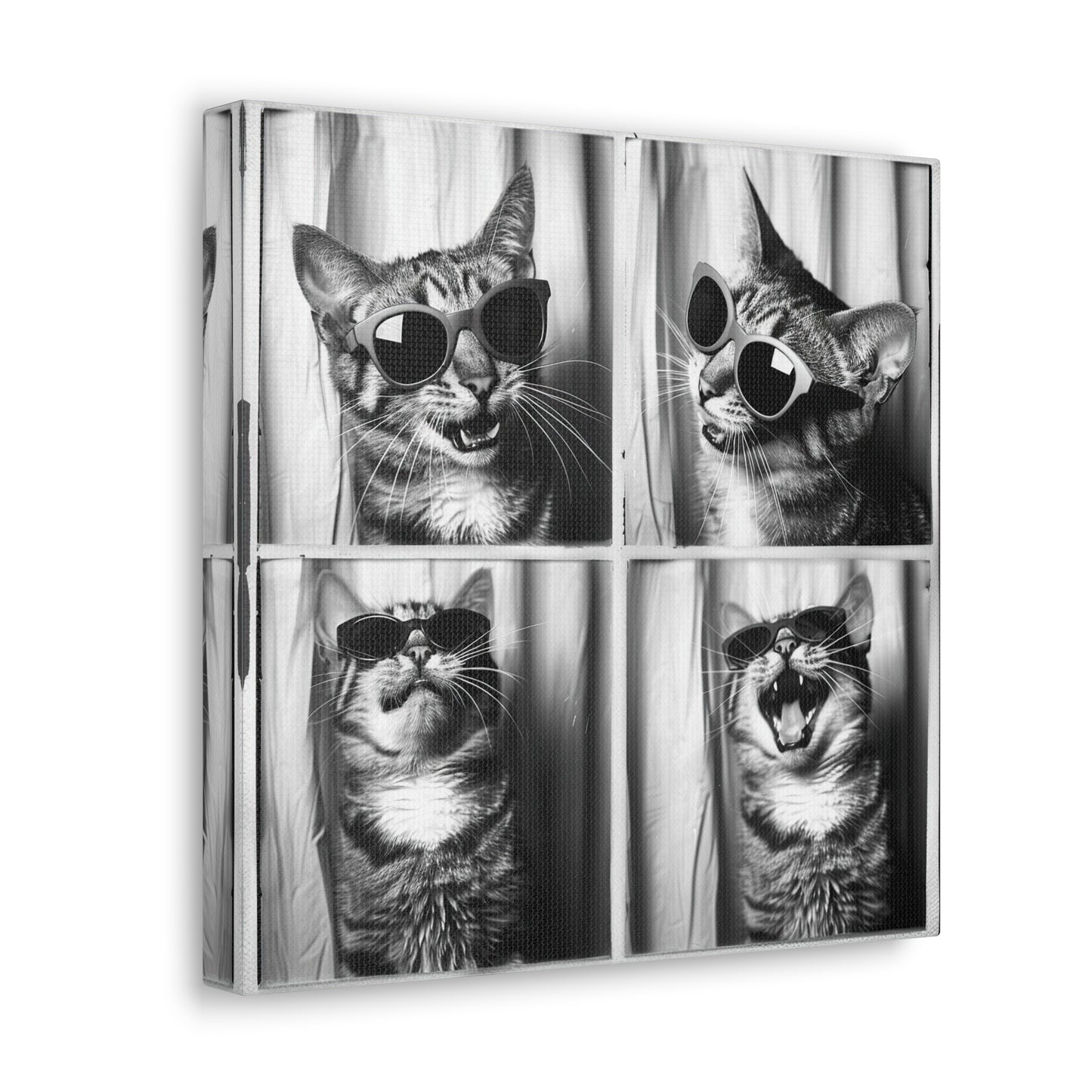 Tabby Cat Photo Booth Canvas