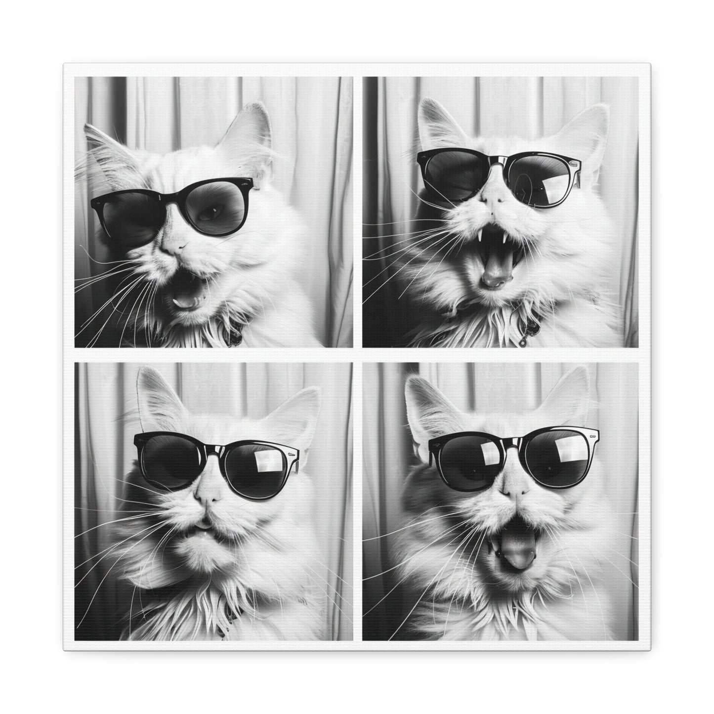 White Cat Photo Booth Canvas