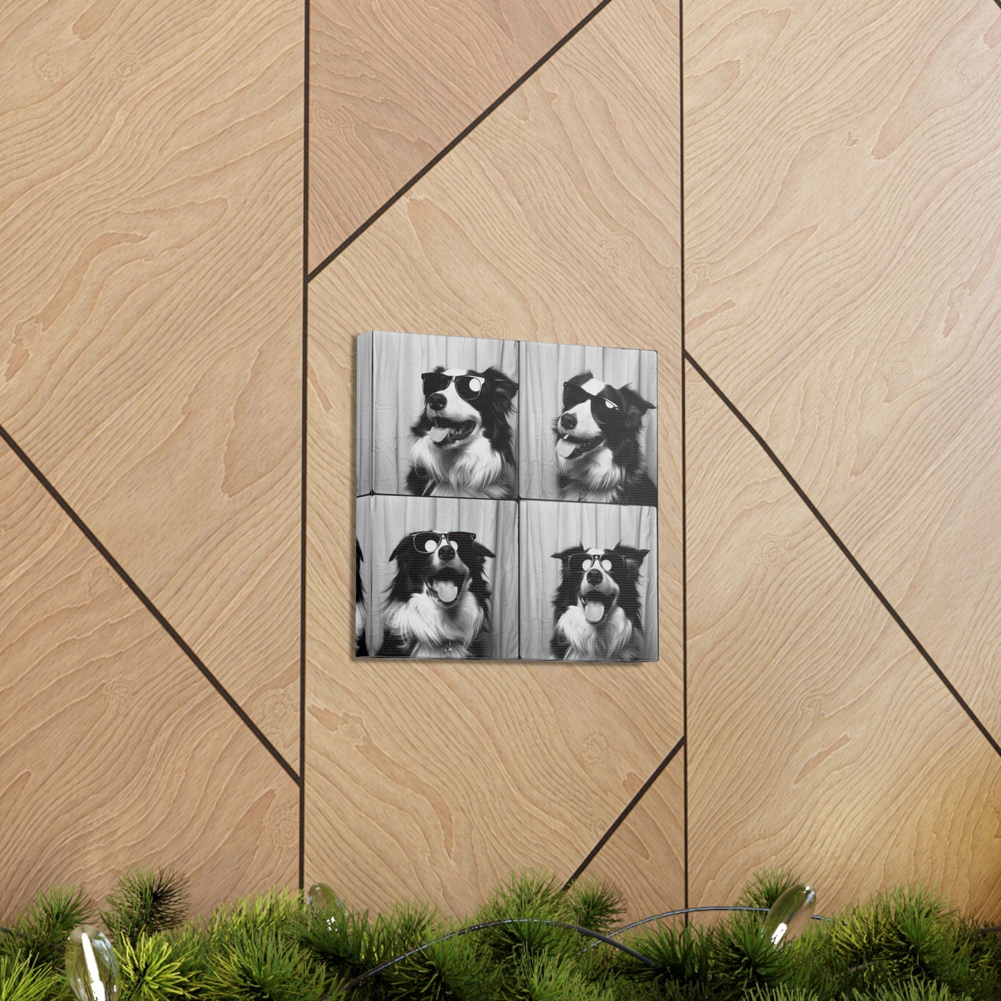 Border Collie Photo Booth Canvas