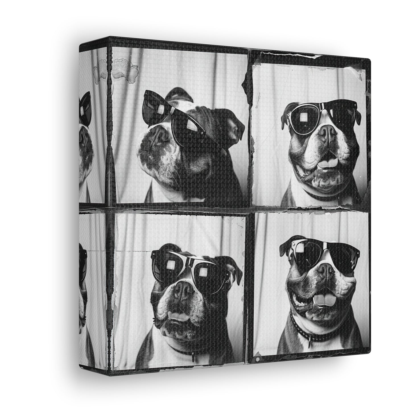 Bulldog Photo Booth Canvas