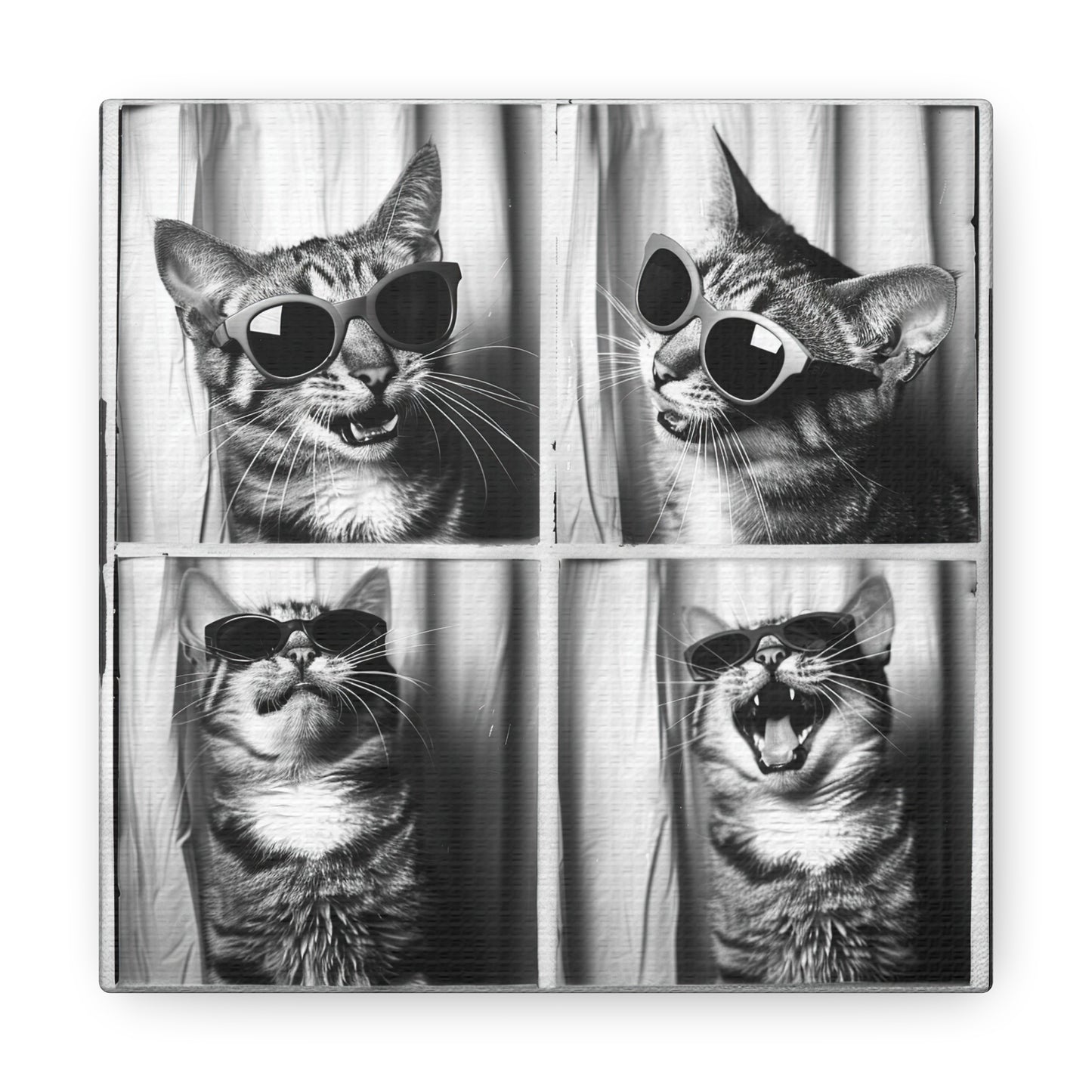 Tabby Cat Photo Booth Canvas