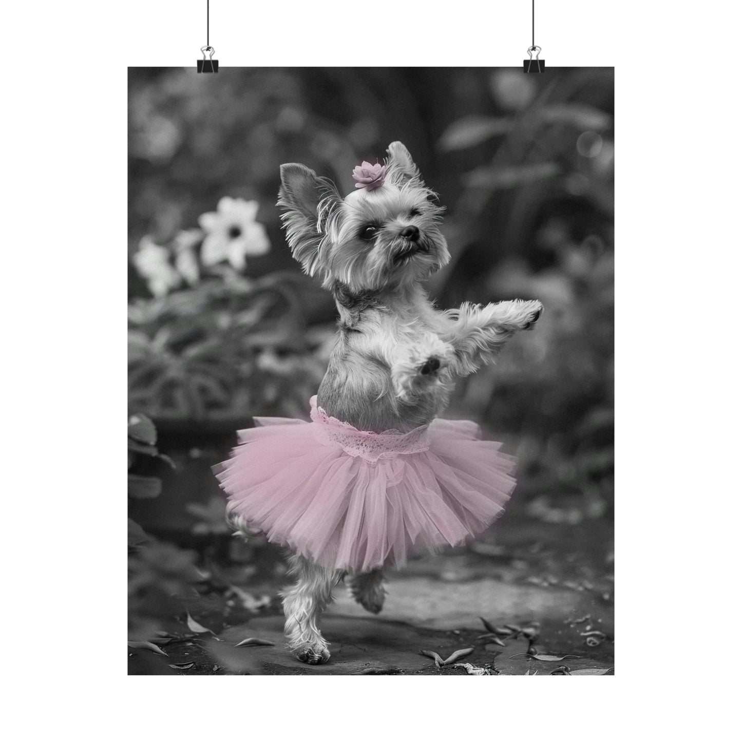 Yorkie Terrier Tutu, Yorkie Terrier Wall Art