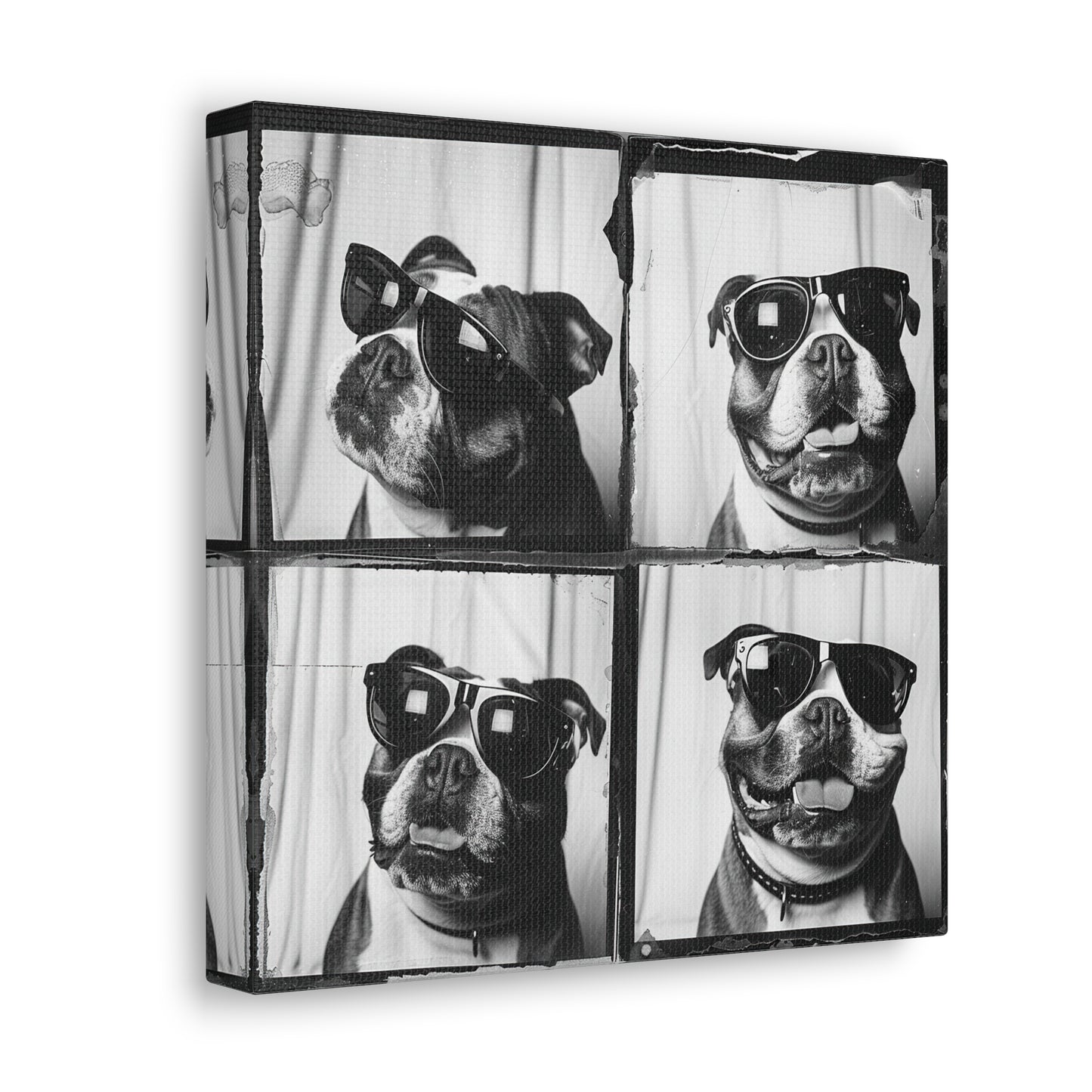 Bulldog Photo Booth Canvas