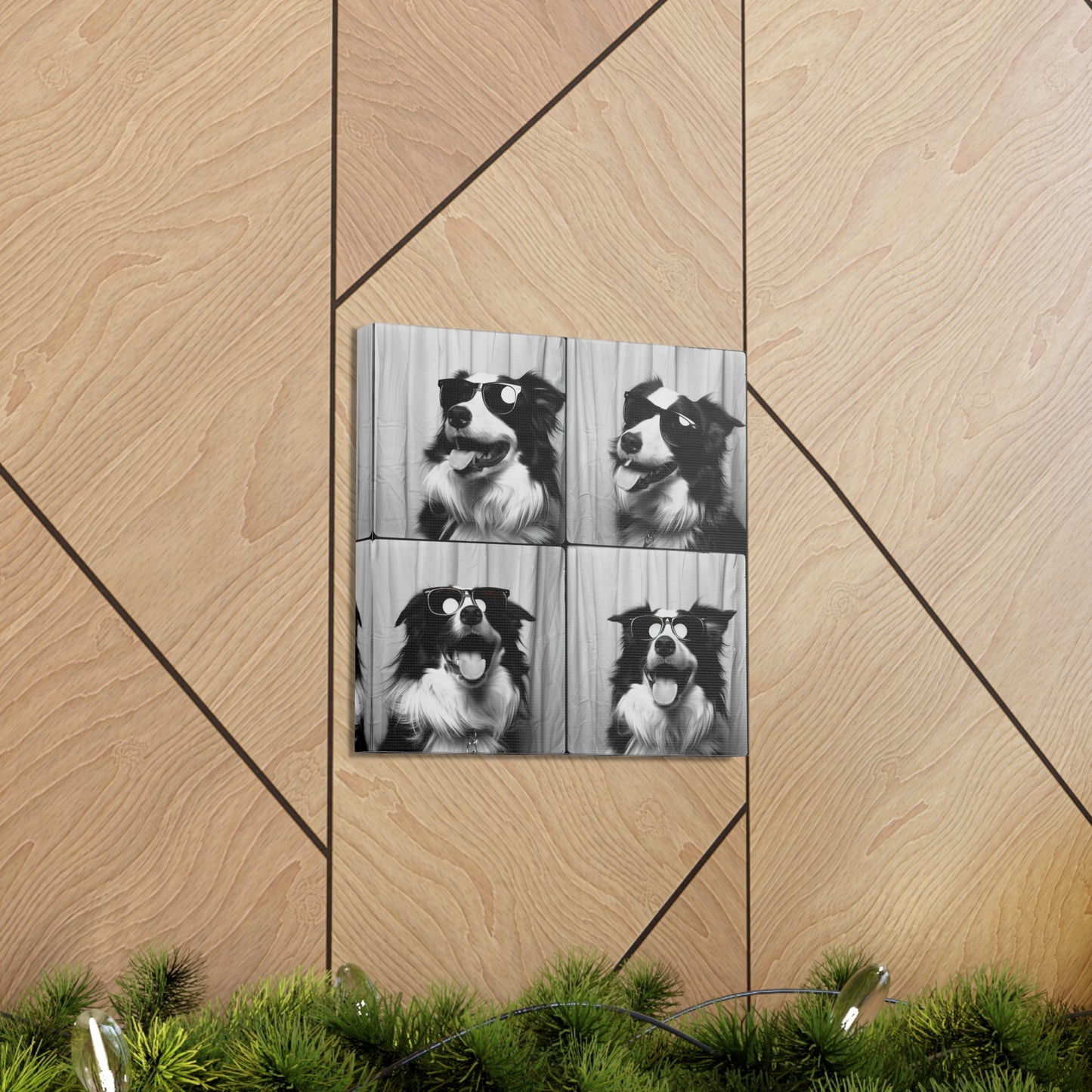 Border Collie Photo Booth Canvas