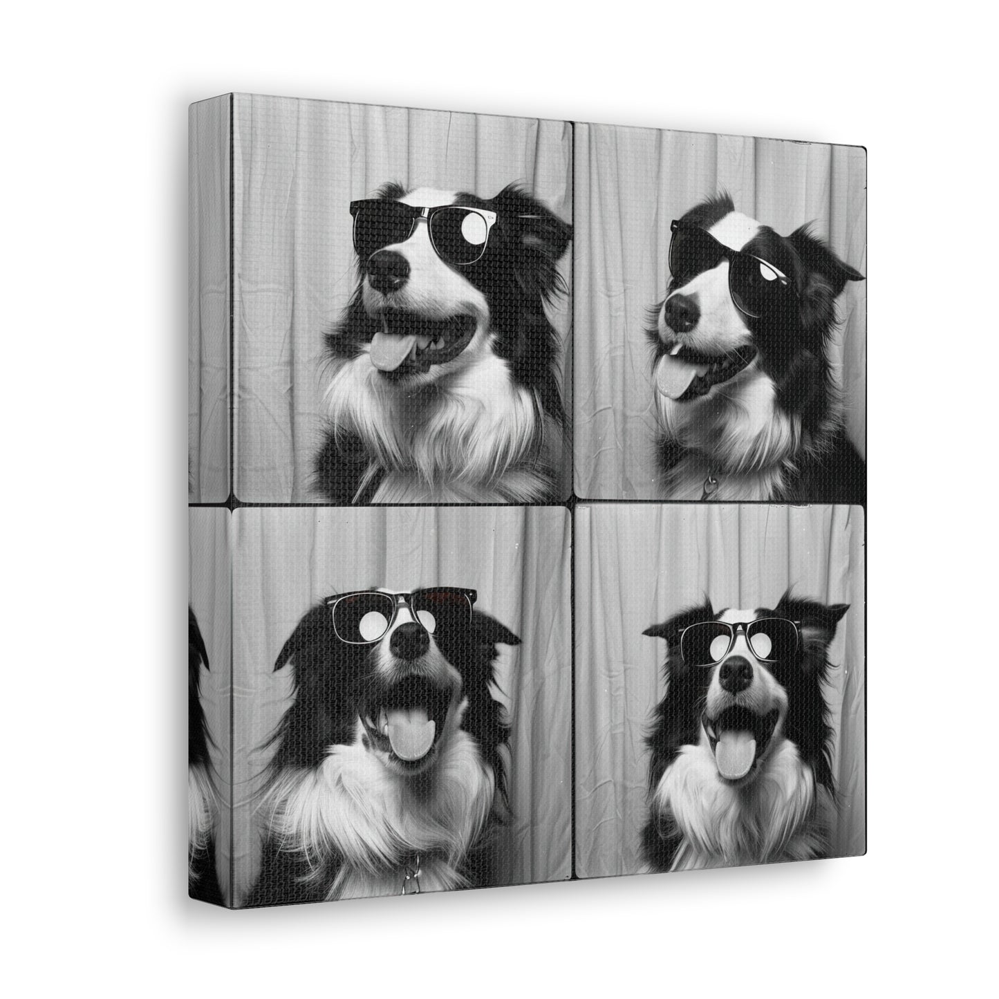 Border Collie Photo Booth Canvas