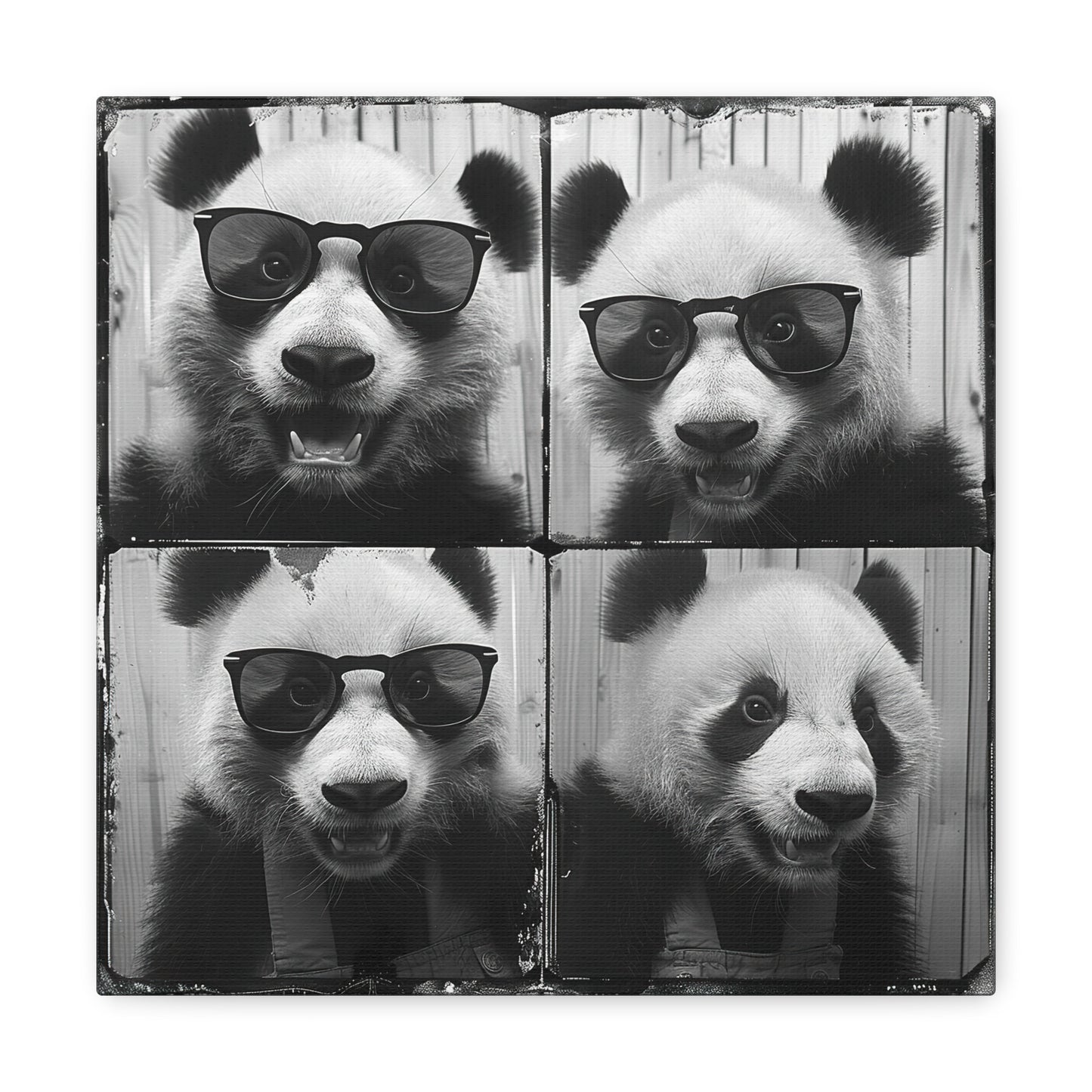 Panda Photo Booth Canvas