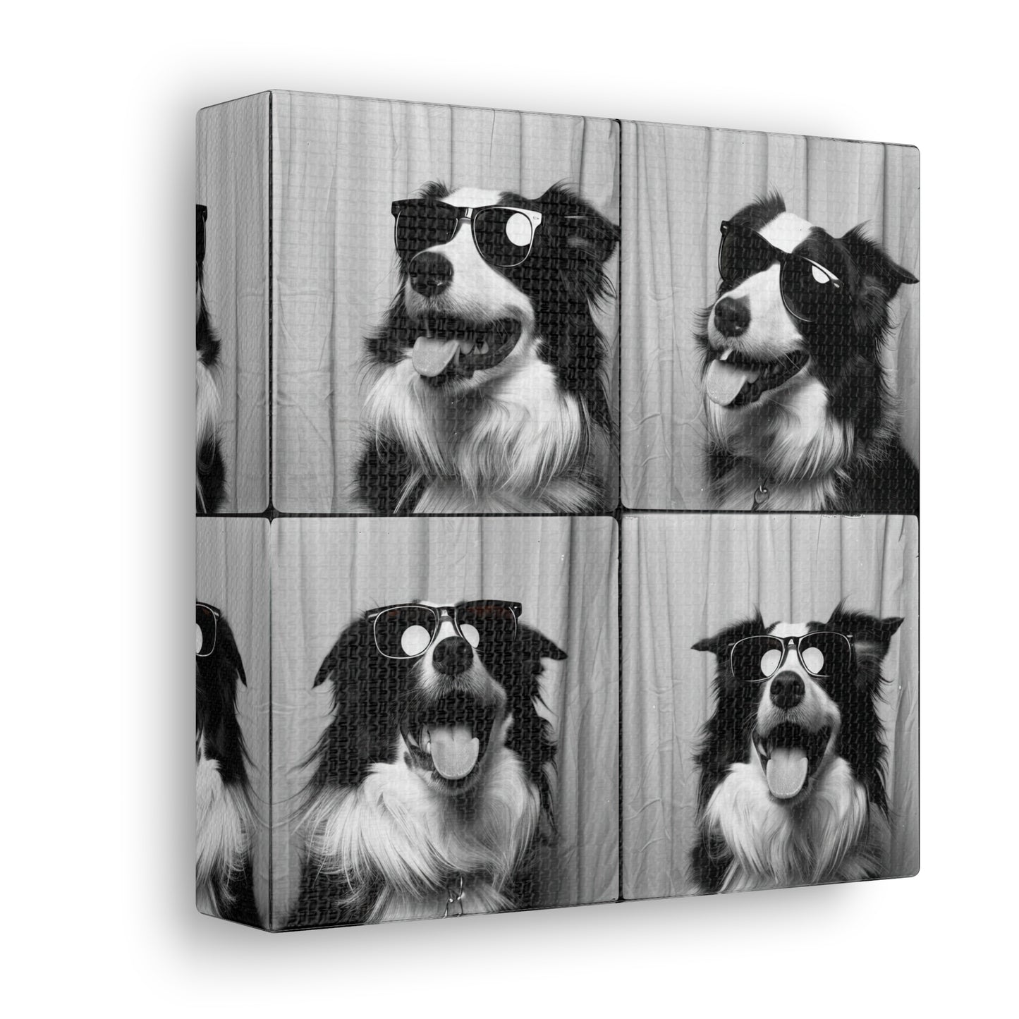 Border Collie Photo Booth Canvas