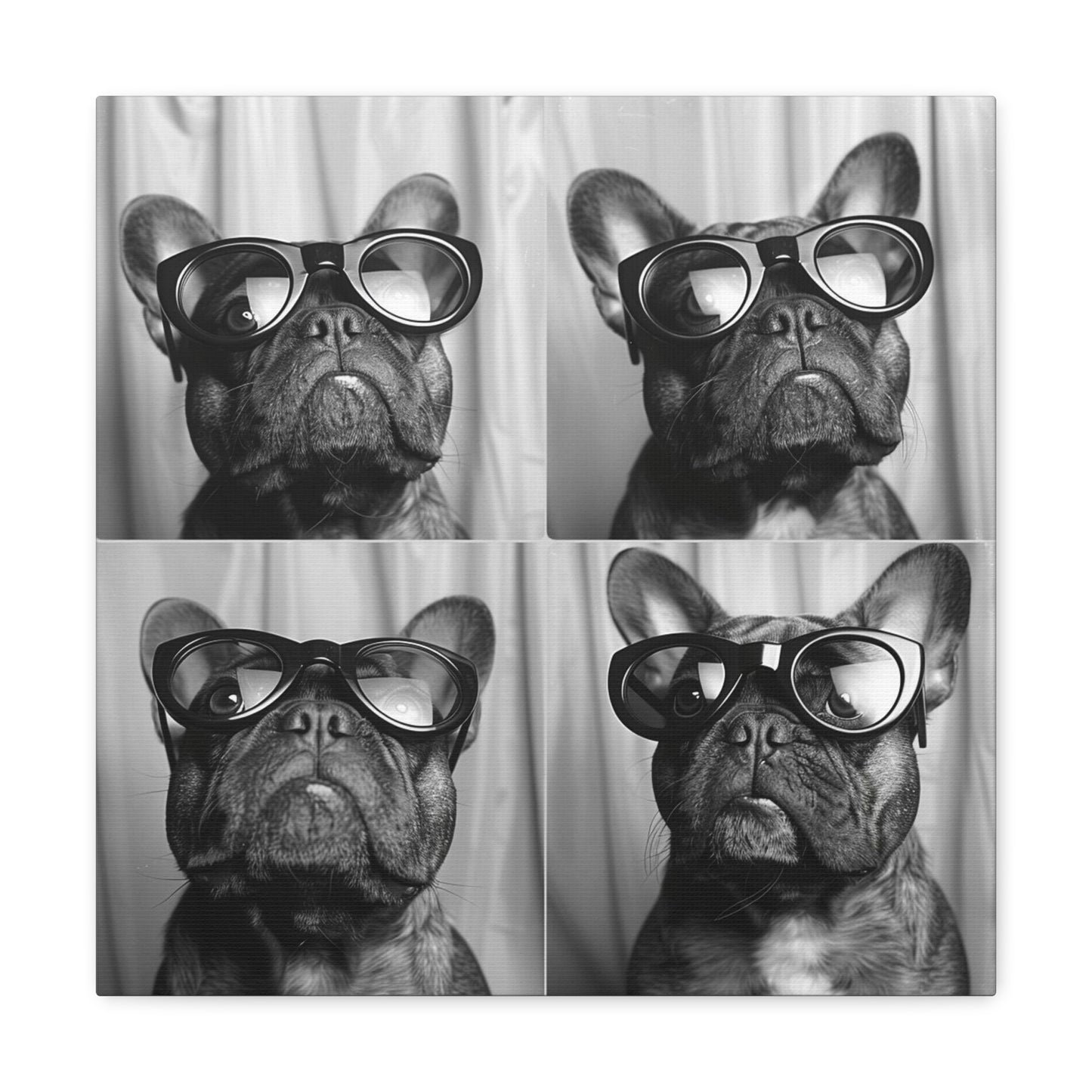 French Bulldog Photo Booth Canvas