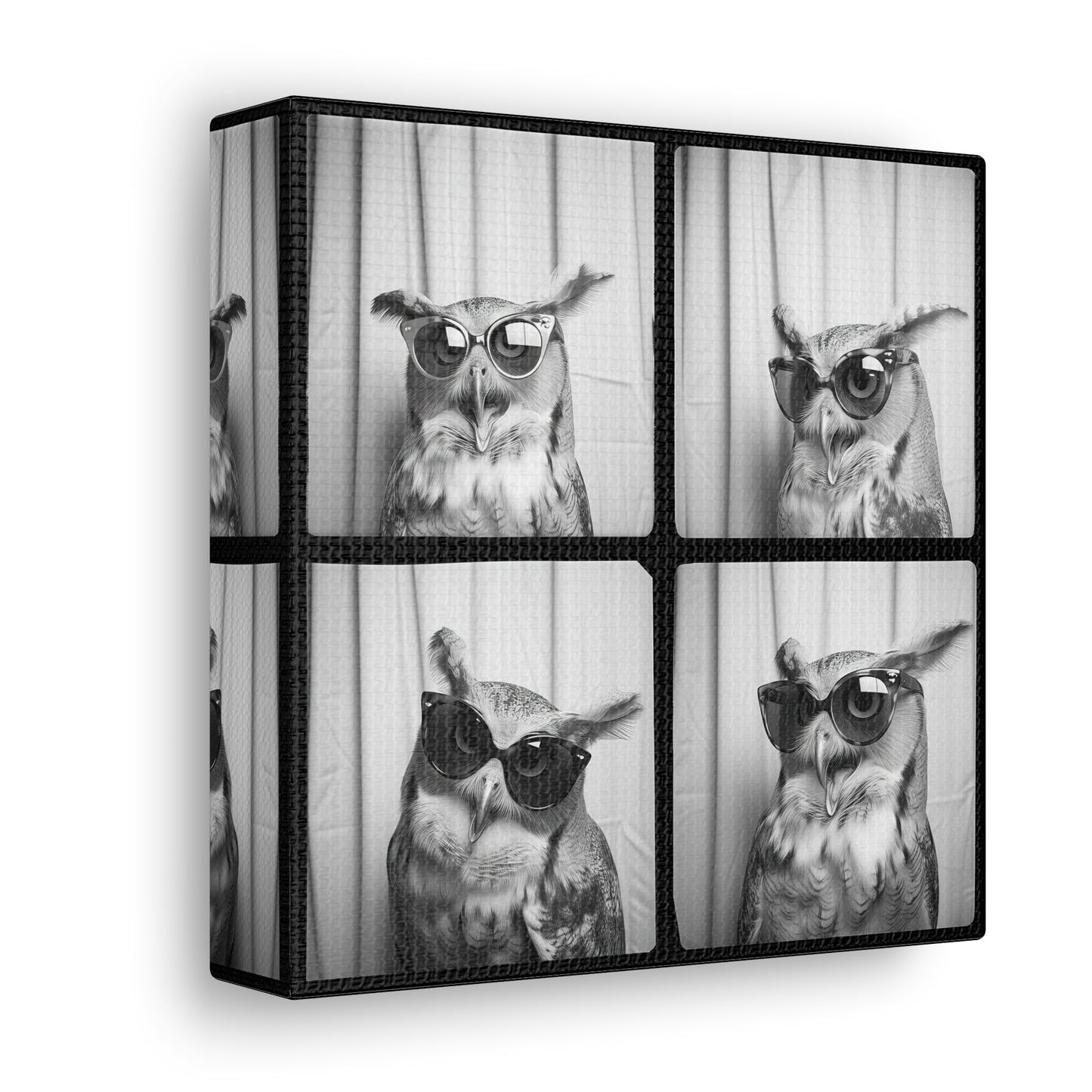 Owl Photo Booth Canvas