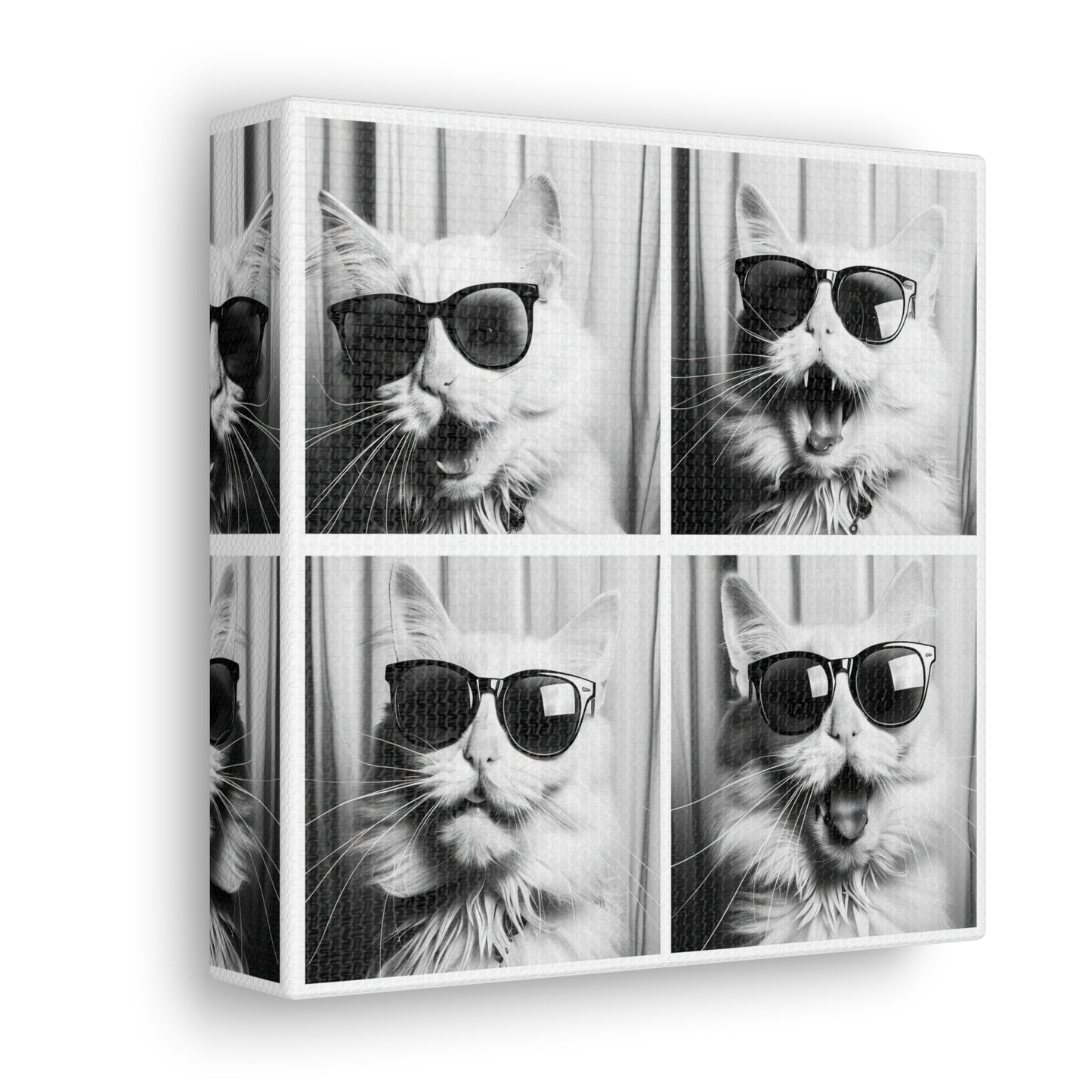 White Cat Photo Booth Canvas