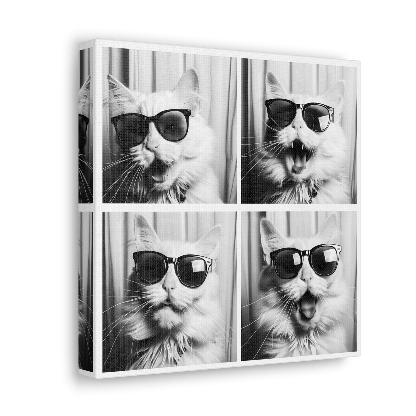 White Cat Photo Booth Canvas