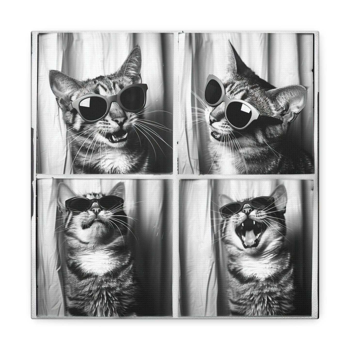 Tabby Cat Photo Booth Canvas