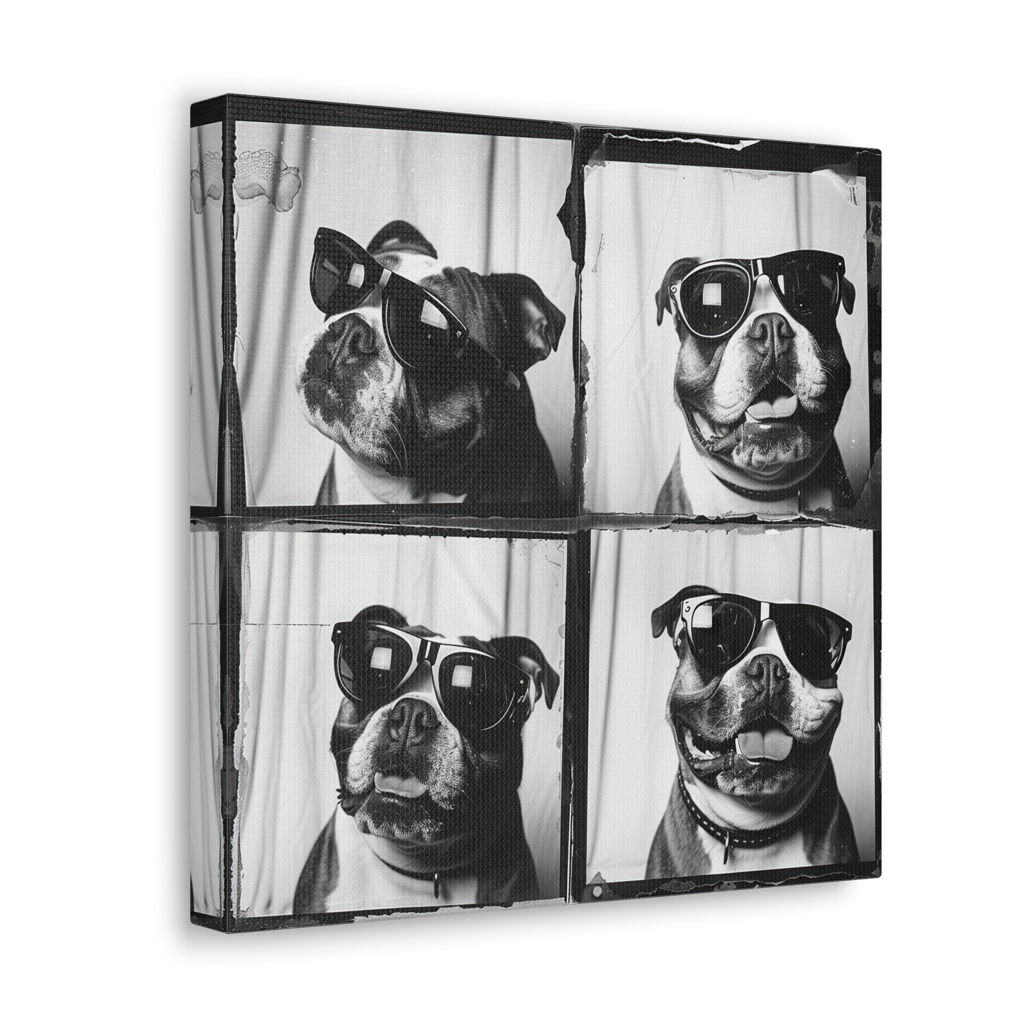 Bulldog Photo Booth Canvas