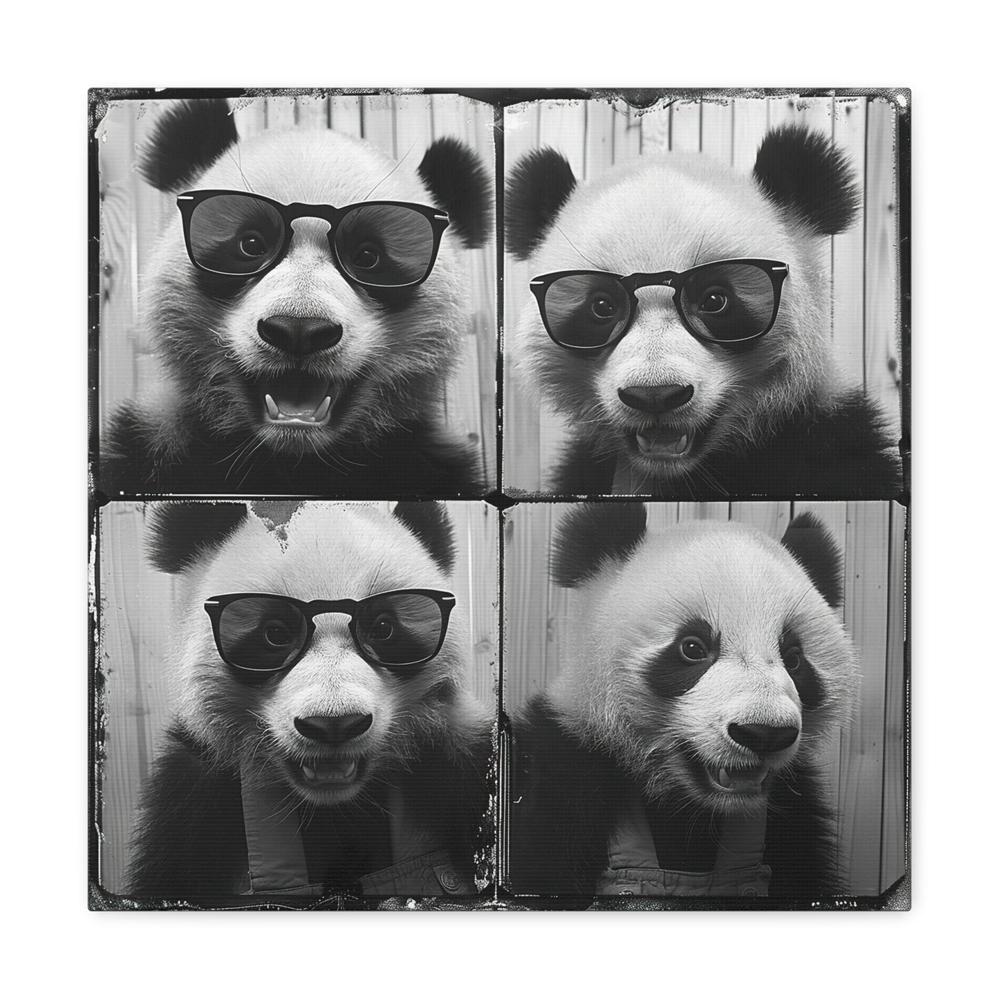 Panda Photo Booth Canvas