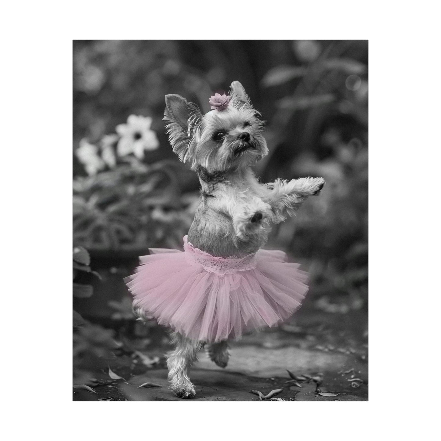 Yorkie Terrier Tutu, Yorkie Terrier Wall Art